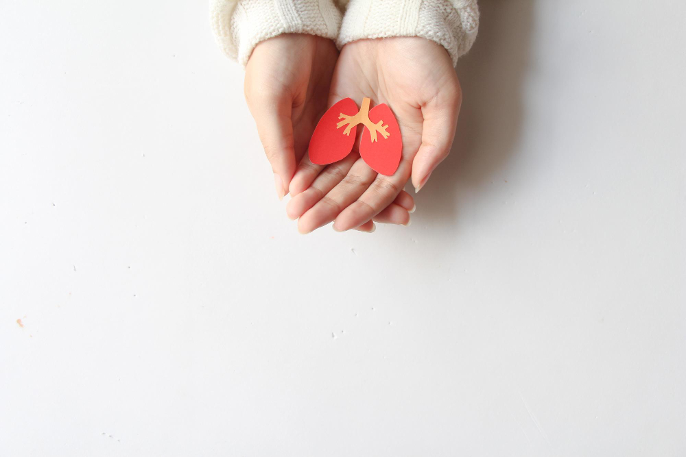 Forme d'un coeur découpé en papier posée dans le creux des mains d'une personne symbolisant le don d'organes.